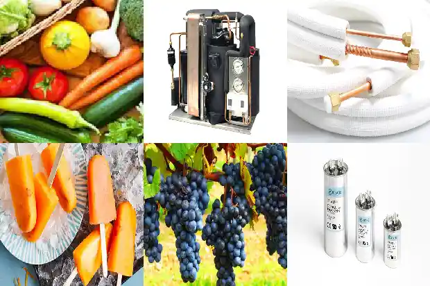 Analyzing the Advantages and Disadvantages of 5 Types of Compressors in Cold Chain Technology1742906099113