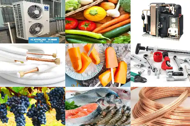 A Complete Guide to the Operation, Malfunctions and Repair Methods of Dry Screw Refrigeration Compressors!1743327079464