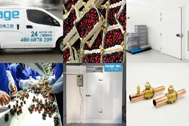 Control Requirements for the Variable Frequency Speed Regulation System of the Primary Chilled Water Pump1743327159464