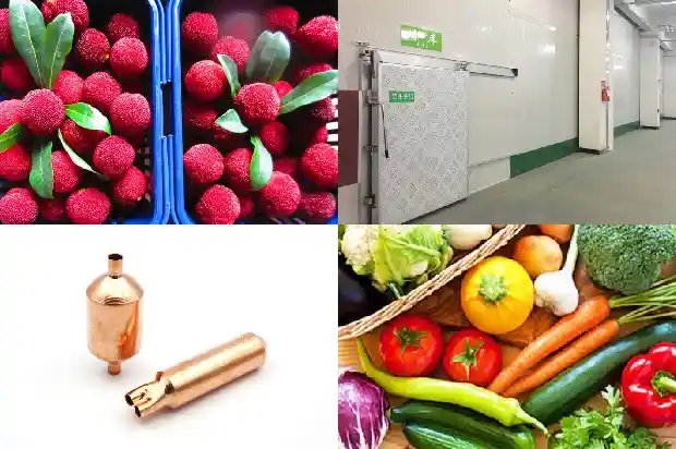 Why should polyurethane cold - storage panels be selected for the construction of cold storages?1743737609714