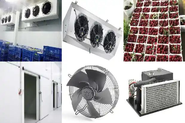 Why should polyurethane cold - storage panels be selected for the construction of cold storages?1743737609762