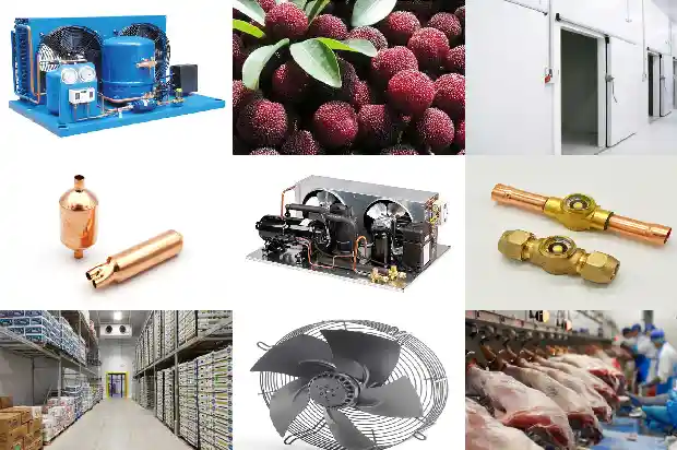 Introduction to Cold Storage Refrigeration Systems1743737644309