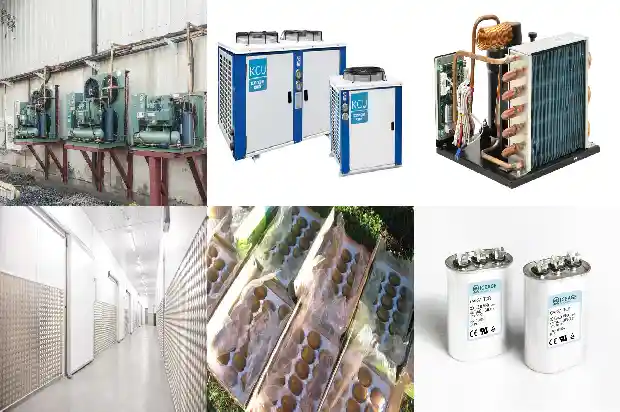 Introduction: Ten Key Points Every Refrigeration Professional Should Know1743737726200