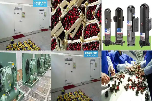 Properties and Applications of R290 Refrigerant1743737793793