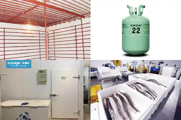 Did You Know? Any Incompatibility between Base Oil and Refrigerant Could Destroy a Refrigeration Compressor1743858056777
