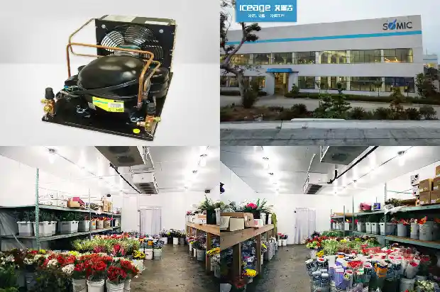 Did You Know? Any Incompatibility between Base Oil and Refrigerant Could Destroy a Refrigeration Compressor1743858056824