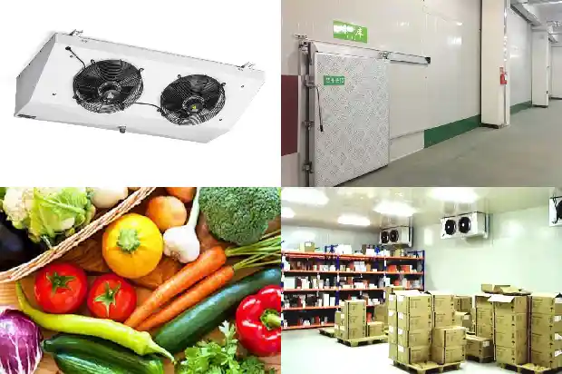 What to Do When the Compressor of a [Refrigerated and Frozen Display Cabinet] Unit Makes Abnormal Noises?1743858091167