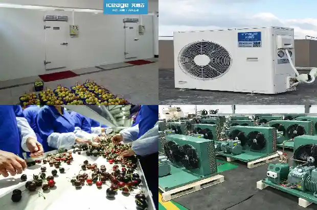 Classification, Applications, Identification of Common Refrigerants and Impact of Purity on Refrigeration Systems1743943095339