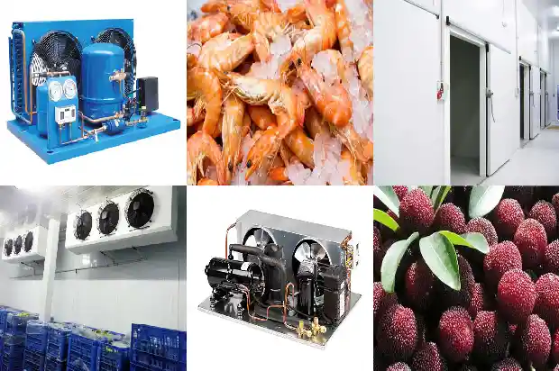 Classification, Applications, Identification of Common Refrigerants and Impact of Purity on Refrigeration Systems1743943095387