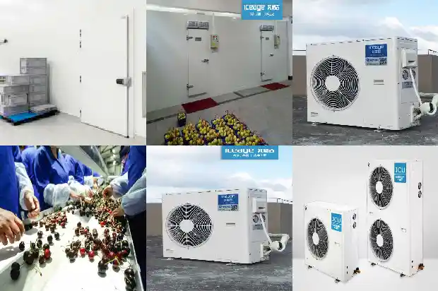 What Are the Advantages of a Quick - freezing Cold Storage?1743943231230