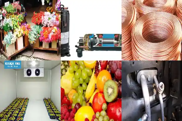 What Are the Advantages of a Quick - freezing Cold Storage?1743943231277