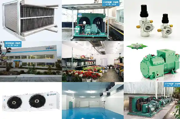 Selection Methods for Site, Capacity, Insulation Materials and Refrigeration System in Cold Storage Construction Design1743943274543