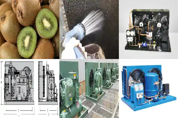 Analysis of Maintenance and Overhaul of Cold Storage Evaporators1744005733419
