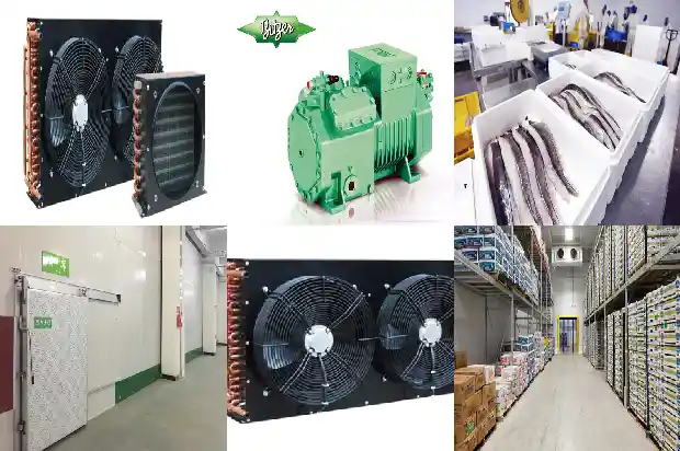What Are the Reasons Why the Temperature in the Quick-freezing Cold Storage Cannot Be Lowered?1744166642383