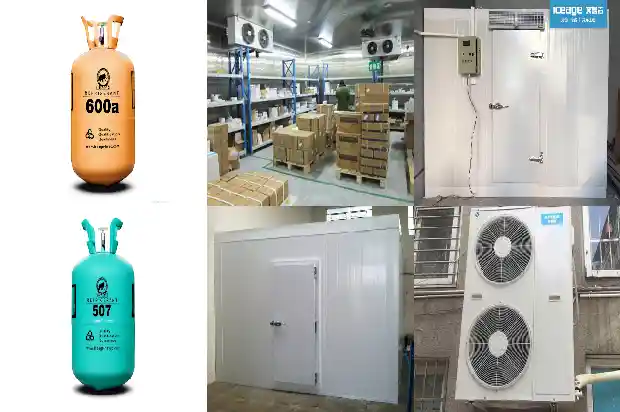 Don't Worry When the Refrigeration Unit Malfunctions. Look Here!1744344601677