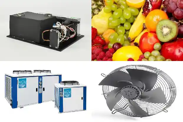 Analysis of Installation Requirements and Common Precautions for Cold Storage1744344685893