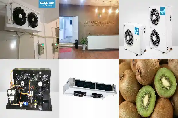 Safe Use and Emergency Handling of Common Refrigerants1744712264417