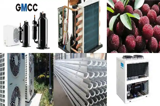 Air Conditioning Design Schemes for Large Spaces like Theatres and Gymnasiums1744712342373