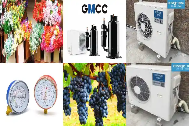 Do You Know the Ten Common Fault Causes of the Refrigeration System?1744712498415
