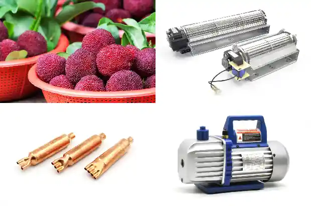 Medical Device Cold Storage—