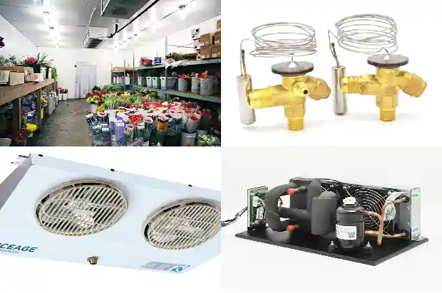 Medical Device Cold Storage—