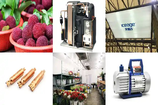 Have You Encountered These Main Reasons for the Burning of Refrigeration Compressor Windings?1745507954918