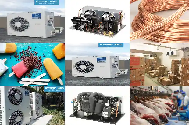 What Key Points Should Be Noted in the Transportation and Storage of Vaccine Cold Storage Projects?1745755005627