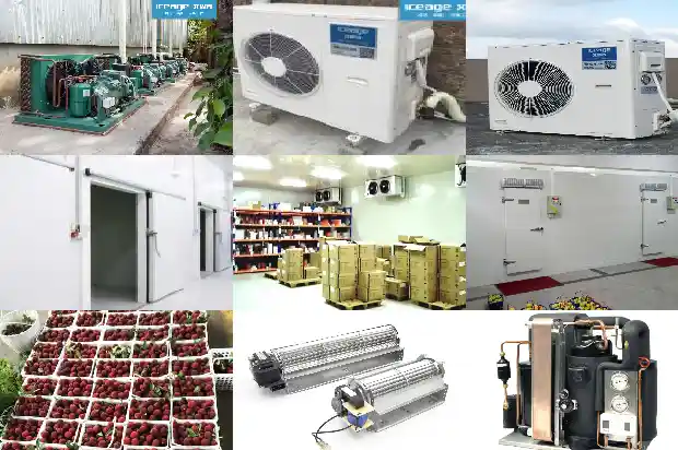 Management and Use of Cold Storage and Analysis and Troubleshooting of Common Faults1746016789983