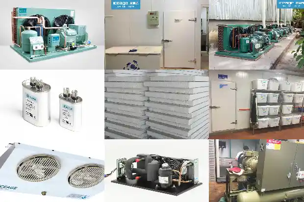 Design, Model Selection, Installation, Electrical Control and Precautions of Small Cold Storage1746016829076