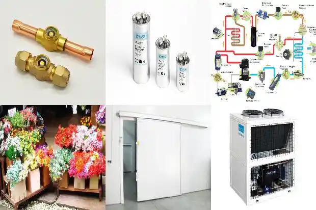 Design, Model Selection, Installation, Electrical Control and Precautions of Small Cold Storage1746016829202