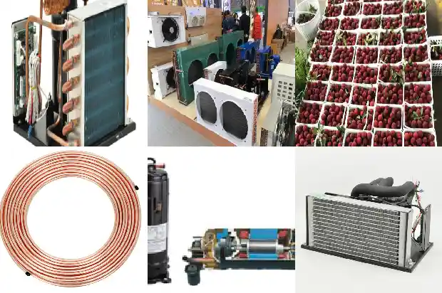 Points to Note When Designing a Small Cold Storage 1746016870935 Points to Note When Designing a Small Cold Storage1746016870935