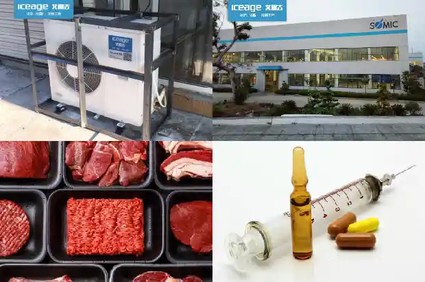 Names, Functions and Maintenance Methods of Each Component in the Cold Storage System1746016908514