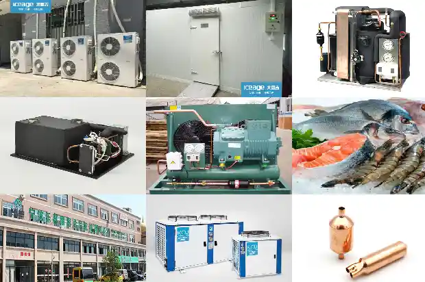 Signs of a Normal Cold Storage and Troubleshooting 1746517530903 Signs of a Normal Cold Storage and Troubleshooting1746517530903