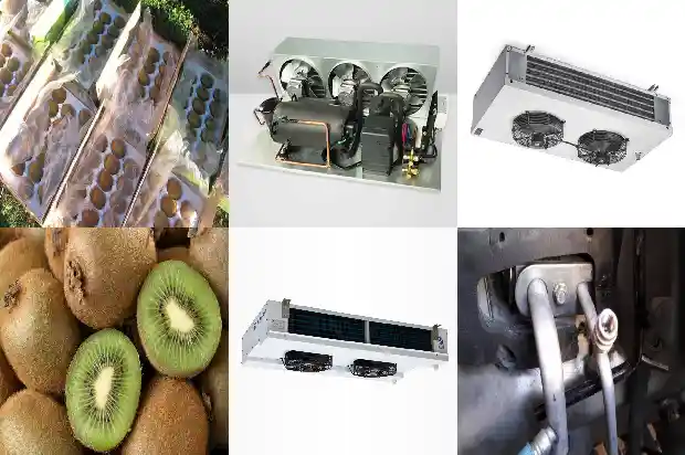 Precautions for the Installation of Automatic Instruments in Refrigeration Devices (Part Two)1746517606101