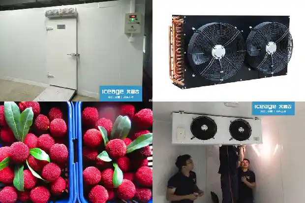 Sharing of Practical Knowledge about Chiller Units, Hurry and Save It!1746629319384
