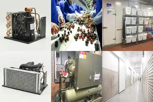 Selection of Industrial Chiller Units1746798918167