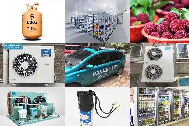 Practical Tips for Refrigeration Equipment Maintenance 1780915439325 Practical Tips for Refrigeration Equipment Maintenance1780915439325